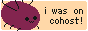 cohost.org